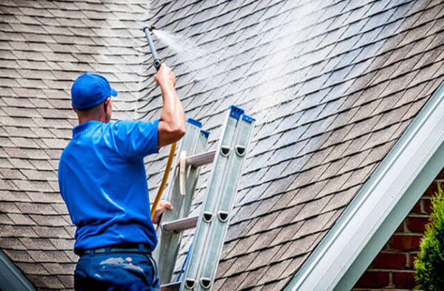 boca raton roof cleaning